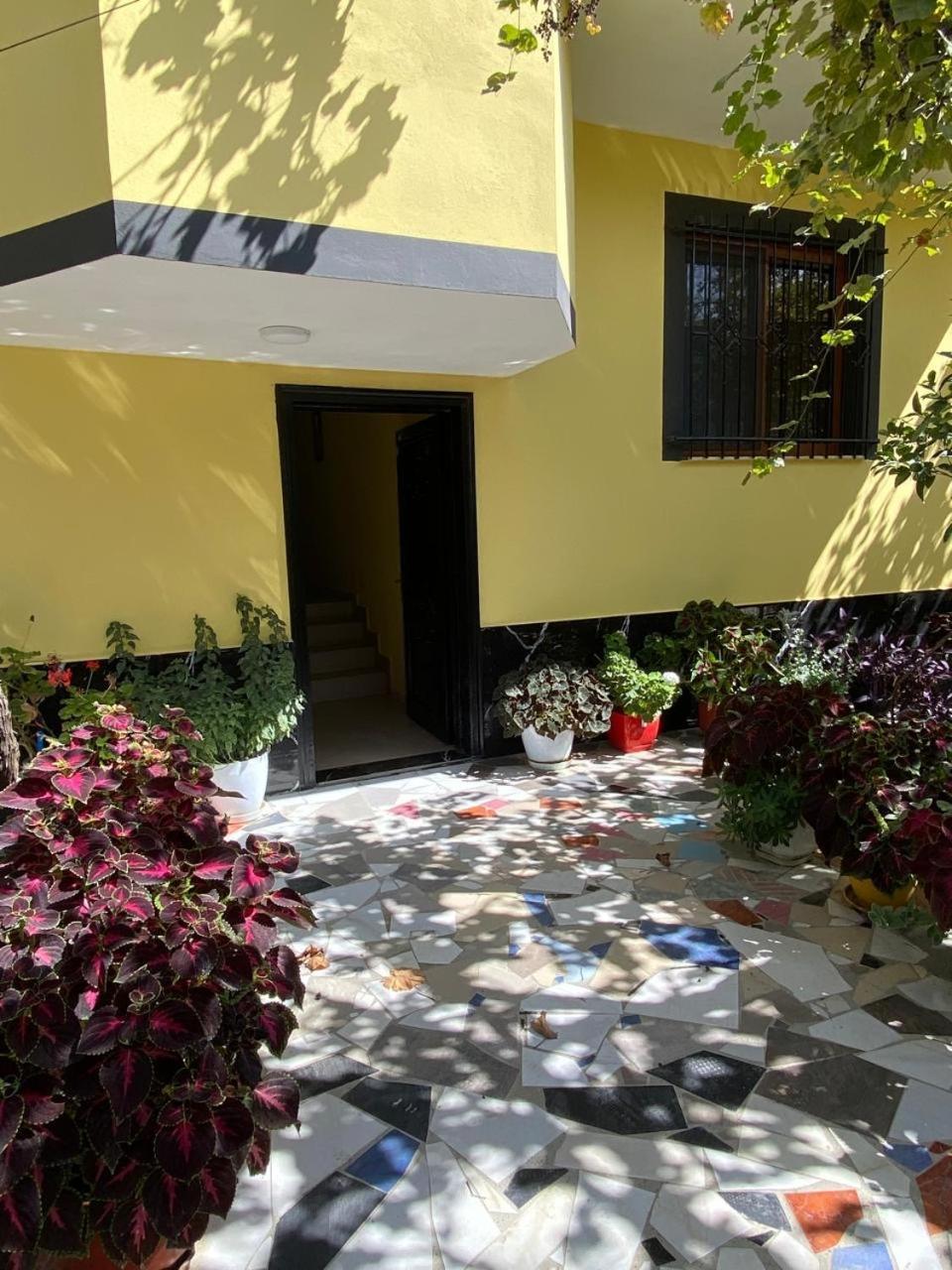H&A Guest House Golem  Kültér fotó